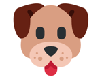what the dog doin