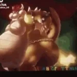 bowser fart