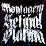 MONTAGEM RETINAL PLATINA - Slowed