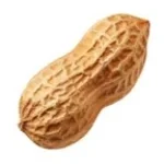 Naoya Zenin  Bubble Pop Electric!