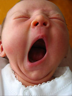 Ignore my yawn