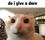 Roblox Isle 9 Soundtrack Albino - Sound