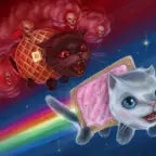 nyan cat and tac nayn meme hero by skyper