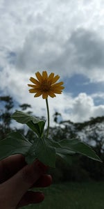 media 1EmVqm23 1750240923 enhanced