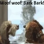 Woof Woof bark bark