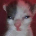 Outro Music Meme Sound Effect