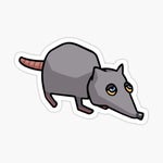 Rats, Rats, We're The Rats.