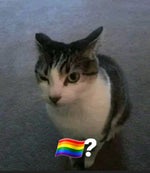 jjk Cursed Clash Main Menu - Sound