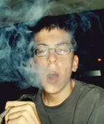 Little rabbit gus gus gus