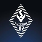 SV Waldhof Mannheim Torhymne