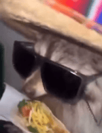 "You're My Friend Now"