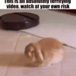scary vid