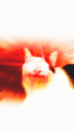 Show Opener Intro With Voice Sound Effect