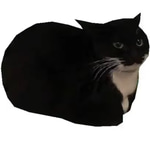 Maxwell the Cat Theme.
