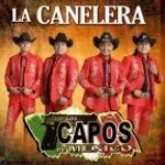 La Canelera 3 Los Capos De Mexico