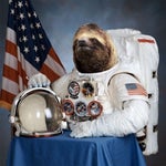 SPACED SLOTH YA