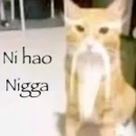 LOS PRIMOS DE DURANGO 🗣️🔥‼️ (SOUND EFFECT)