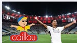belligol