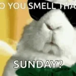 I can Small you FNAF