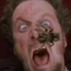 Home Alone Spider Scream