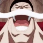 the one piece is real