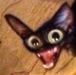 angry cat