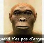 Rire Singe