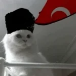 götümü siken yokmu?