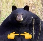 LEVANTATE MUCHACHO DE PIE