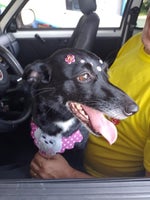 meme super machista opressor mario