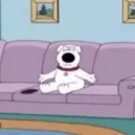 brian crashout bc of a baby