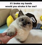 Snappy Jit We Go To Work V1 - Sound