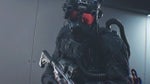 The Connections Wolves