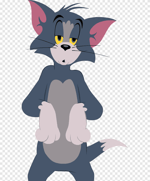 Tom screaming sound effect from Tom and Jerry