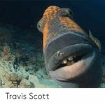 lore meme sound effect