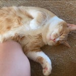 original sound andyarthursmith 1709260487 musicaldown