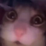 officer earl running