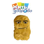 Zhit' Zdorovo (Gegagedigedagedago)