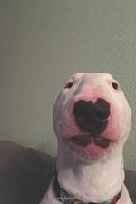 imma need that (full)