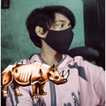 Hansenvendiagus tiktok3