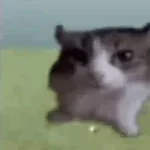 tecnic explosive