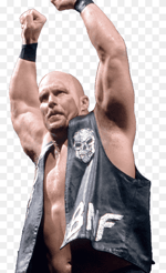 Stone Cold Steve Austin
