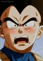 we live we love we lie