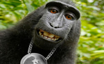you thought you caught me in 4k? you aint see a thing