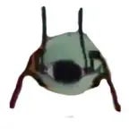 Wheatley Crab (short)