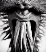EEEHHHHHH EEEEERRRRR