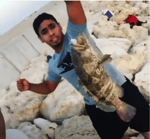 عبود يوده - Sound