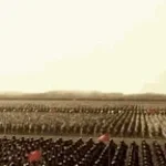 Do you want total war?