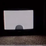 Nothing Is Worth The Risk - The Mandela Catalogue