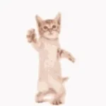 go-kitty-go-128-ytshorts.savetube.me